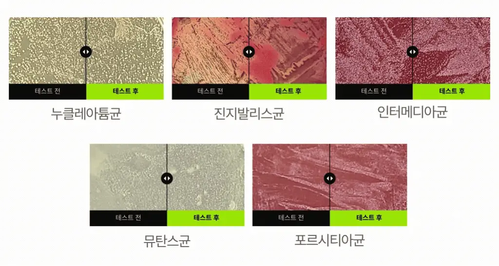 [레오제이 공동개발] NEW 리브러쉬 과즙 농축가글액 20ml 3종 택1 (복숭아/포도/청사과) 상세페이지 13